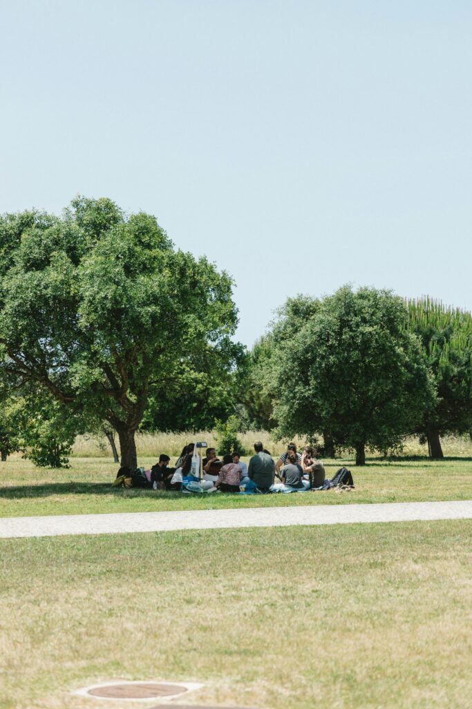 A serene outdoor gathering of adults under trees in a Portuguese park on a sunny day.